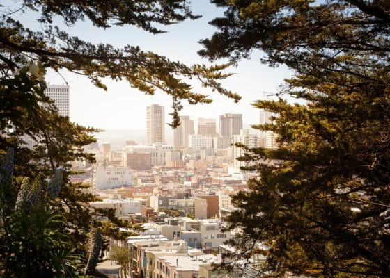 Ways to Reduce your Carbon Footprint - City through the Trees