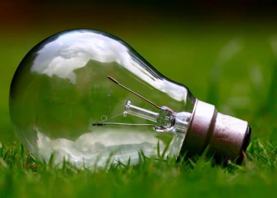 Glass light bulb on grass